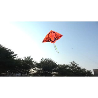 Diều Đôrêmon cỡ đại bay cao