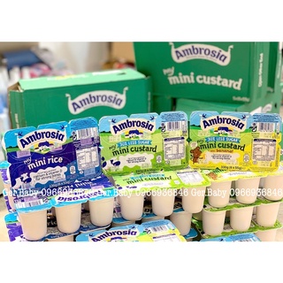 Váng sữa Ambrosia custard - Gerbaby