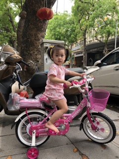 Xe đạp Totem Ag16