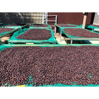 Cà phê nguyên chất [MỘC COFFE]