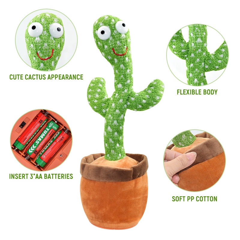 CÓ SẴN XƯƠNG RỒNG NHẢY MÚA - DANCING CACTUS