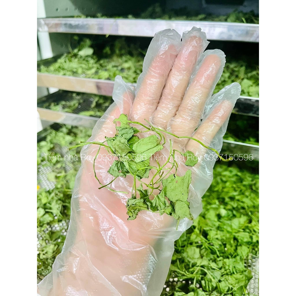Bột Cần Tây Sấy Lạnh Nguyên Chất, Hũ Thủy Tinh 150gr