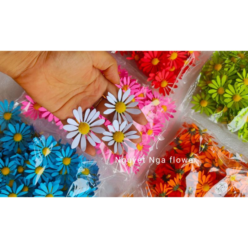Túi 100 đầu bông cúc hoạ mi