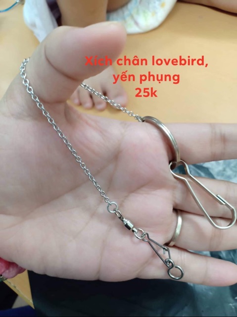 Xích cho yến phụng , LB