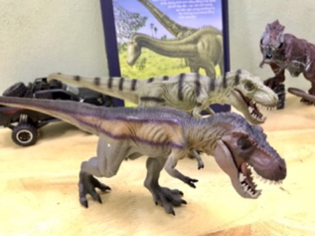 Mô Hình Khủng Long Tyrannosaurus Rex