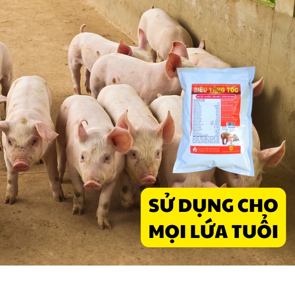 Vỗ béo cho heo, tăng trọng lợn thịt, siêu tăng tốc vật nuôi mau lớn da hồng lông mượt mã đẹp gói bột trộn 1Kg