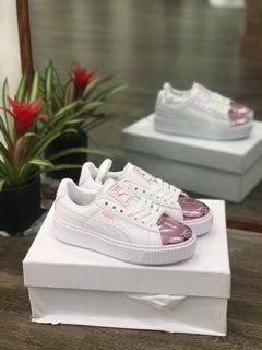 Puma mũi bóng