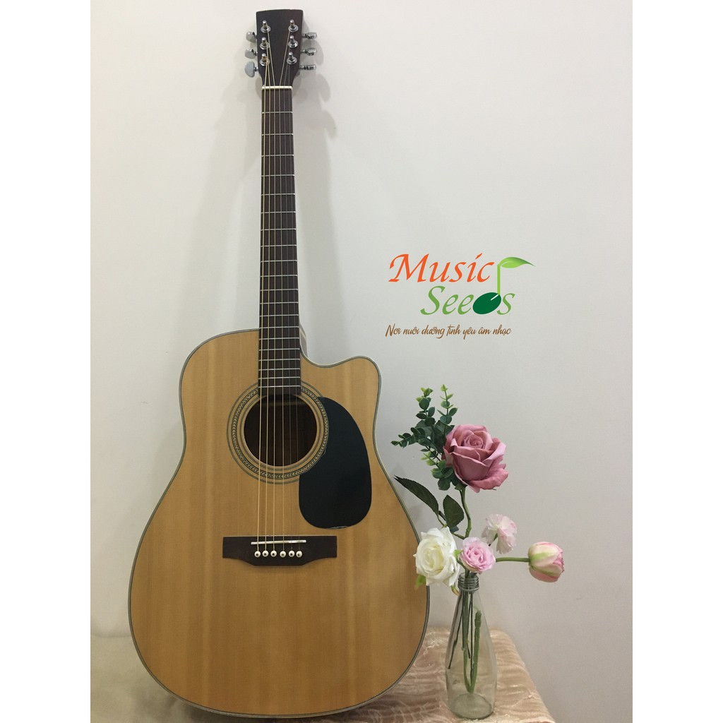 Đàn Guitar Acoustic Ba Đờn J200