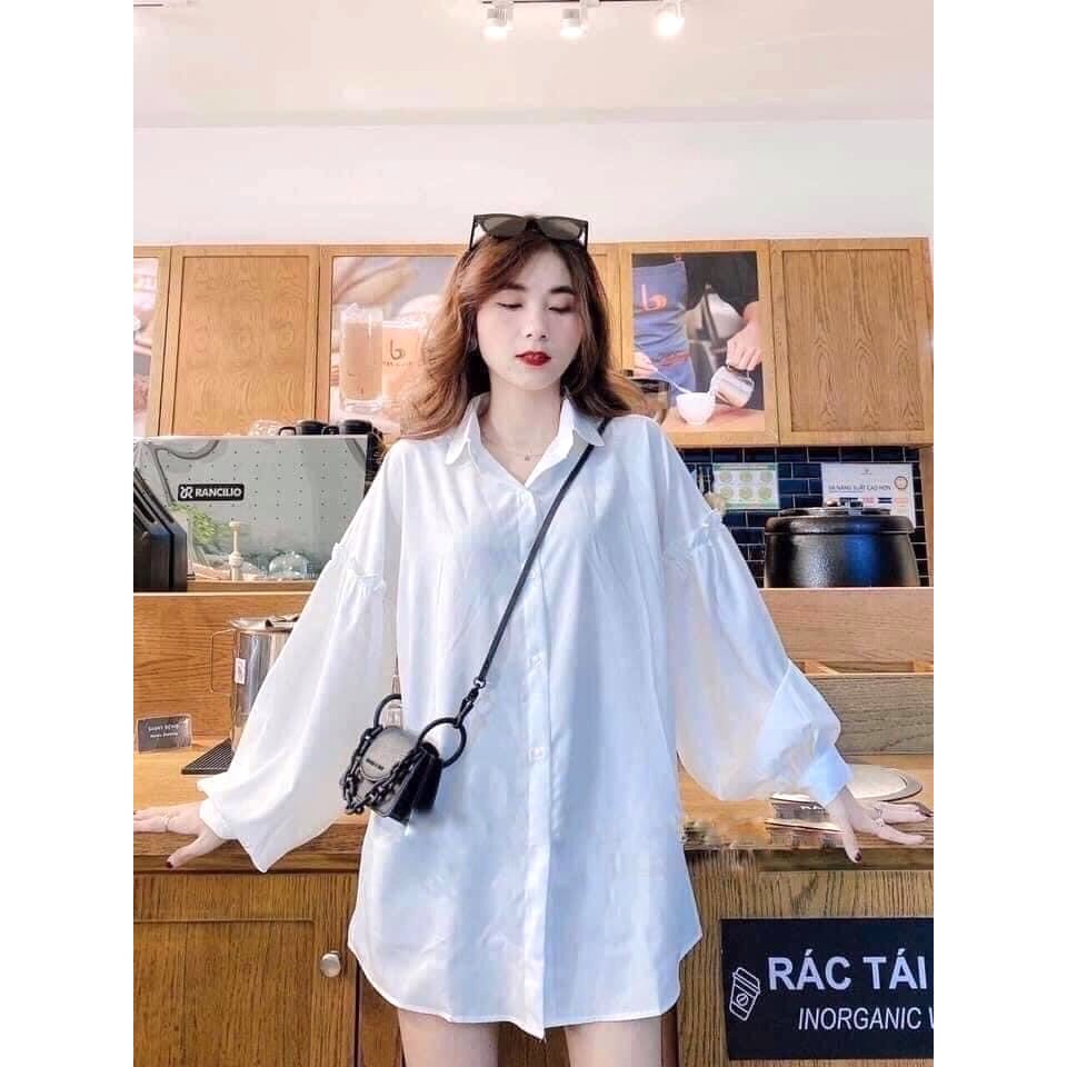 Áo Sơ Mi Trắng Tay Bèo PEONYB Nữ [FREESHIP] 🌸 Thun dài tay bồng form rộng, thiết kế bánh bèo tiểu thư Ulzzang HOT 🌸