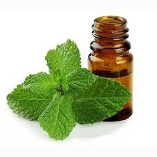 Compo 02 lọ Tinh dầu Bạc hà Ruby lọ 10ml