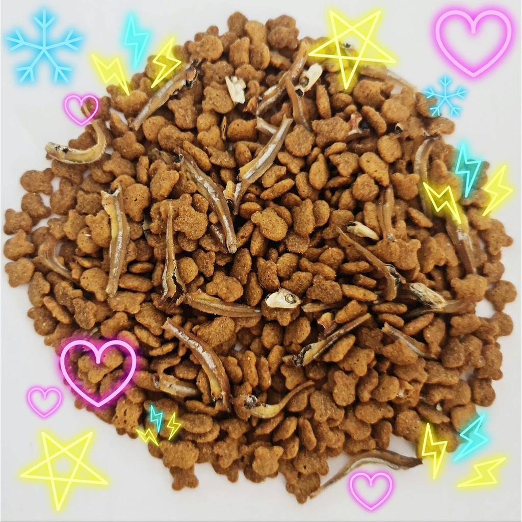 [1.2kg] Hạt Aatas Cat Gold Chứa Cá Cơm Sấy Cho Mèo