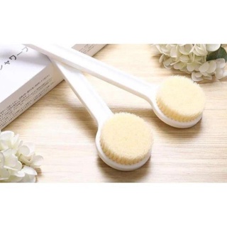 Cây Bông Tắm Muji