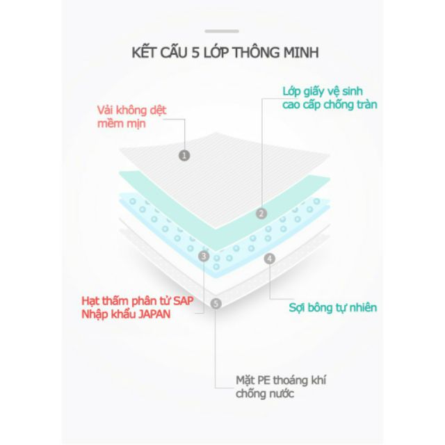 30 miếng / Hộp 108 miếng lót thấm sữa mẹ KICHILACHI KICHI TSK / Mamicare