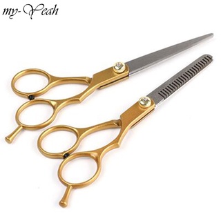Bộ kéo cắt tóc chuyên nghiệp 6.0 inch bằng thép không gỉ