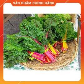 HẠT GIỐNG CẢI BẨY SẮC CẦU VỒNG GÓI 25/30 HẠT