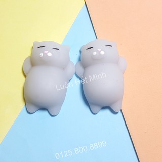 zSquishy Mochi Mèo Xámt