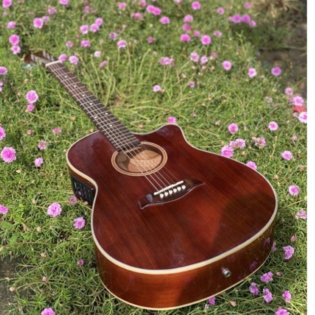 Đàn Guitar Acoustic Lắp EQ Fisman 301 Gồ Full Hồng Đào