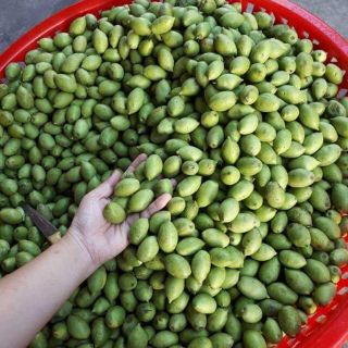 Cà na đập dập hộp 2ki