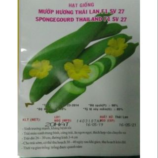 Hạt giống Mướp hương Thái Lan - gói 20hạt