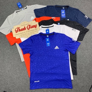 Áo thun thể thao nam hàng vnxk hai82