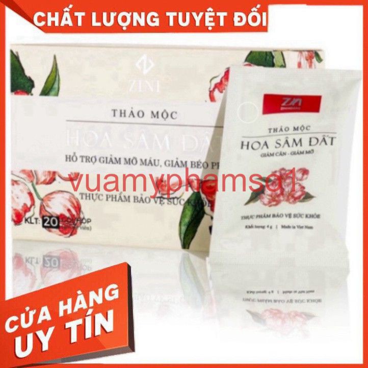 TRÀ THẢO MỘC HOA SÂM ĐẤT