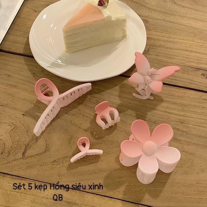 Set 5 kẹp tóc càng cua màu hồng nhiều kiểu phong cách hàn quốc ngọt ngào