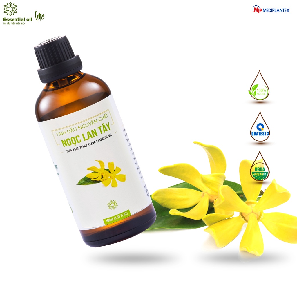 Tinh dầu ngọc lan tây LINO lọ 100ml, tinh dầu thơm phòng, tinh dầu thiên nhiên nguyên chất từ công ty dược Mediplantex