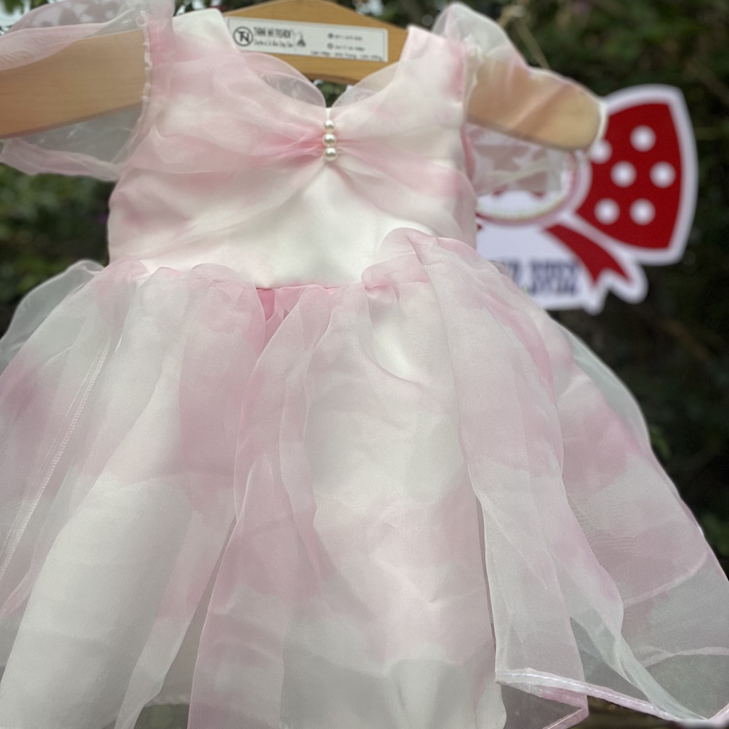 Váy Công Chúa kiểu Đáng Yêu hàng Thiết Kế Cao Cấp Đầm Bé Gái Thanh Nhi Fashion TN8522006