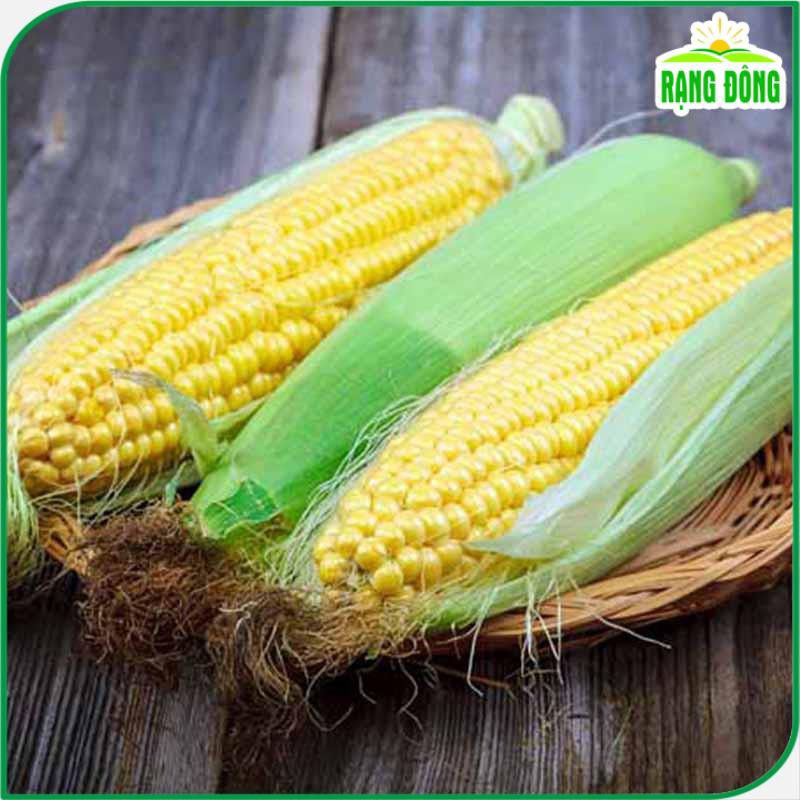 Hạt giống Bắp Ngọt  sinh trưởng mạnh, dễ chăm sóc