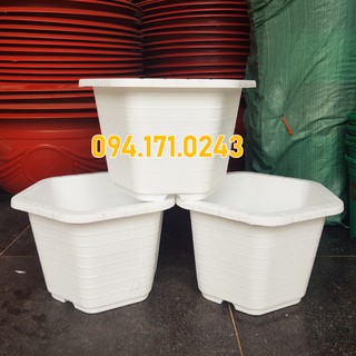 5 Chậu lục giác trắng đường kính 29cm - Shopchaucanh