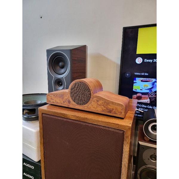 Loa siêu Trép Vai Bò DIY tại Eway301