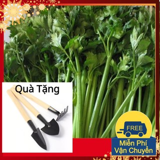 Hạt Giống Cần Tây Tặng Bộ Dụng Cụ Mini Trồng Cây Tặng Bộ Dụng Cụ Mini Trồng Cây