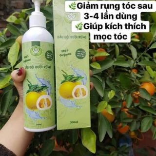 Dầu gội bưởi trị rụng tóc (THH)