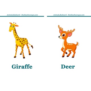 Flashcards - 52 thẻ động vật