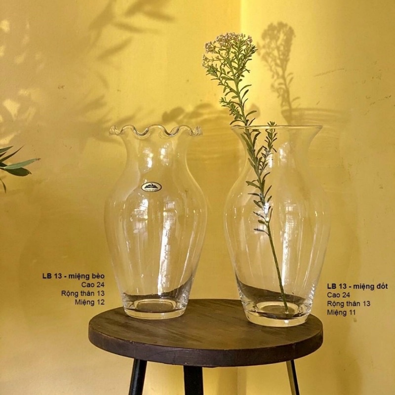 ✔️Lọ Thuỷ Tinh Lục bình miệng bèo 12-15cm
