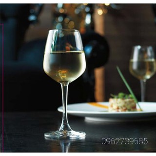 Bộ 6 Ly Rượu Vang Ocean 19R11 (315ml)