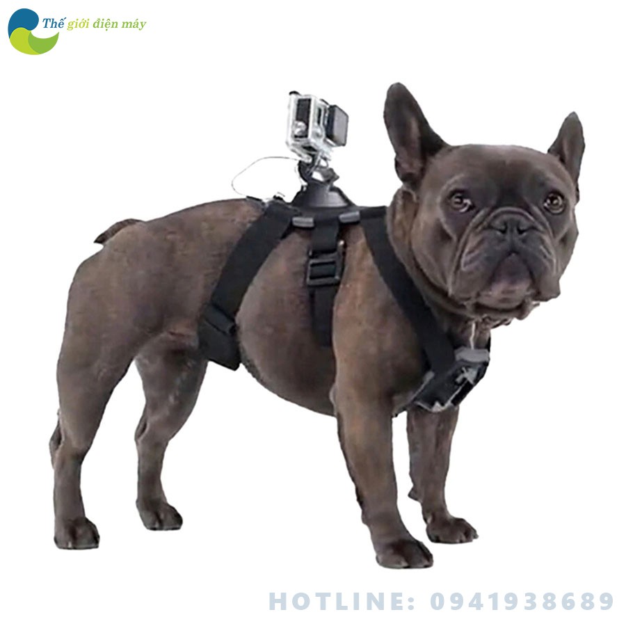 Dây đeo cho chó mèo cho camera hành trình ,thỏa sức vui chơi quay phim cùng thú cưng ghi lại những khoảnh khắc