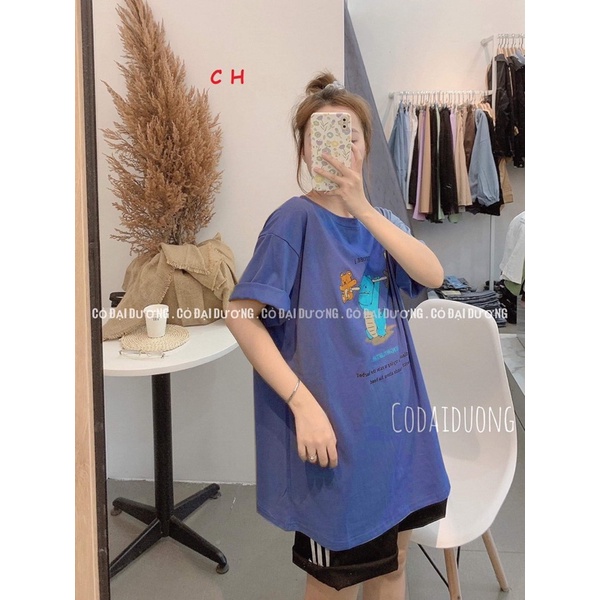 Sét áo khủng long gấu thỏ + quần đùi 3 sọc CO