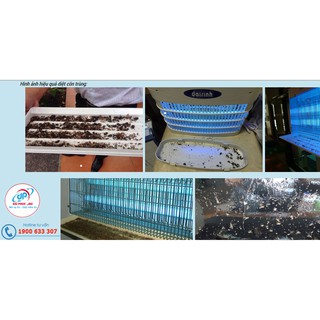 Đèn Diệt Côn Trùng Đại Sinh DS-D82 (trắng) - PTV