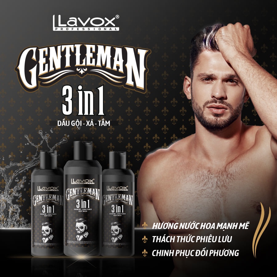 Dầu gội - Xả - Tắm 3in1 Mollyhair thương hiệu Lavox, mùi hương đột phá chinh phục bạn khác giới cho nam