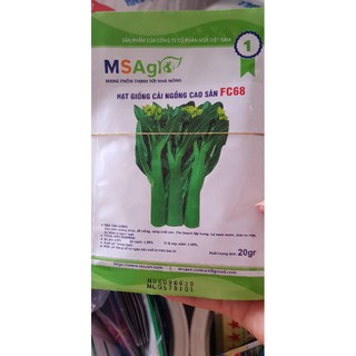 hạt giống cải ngồng (chống chịu sâu bệnh tốt)