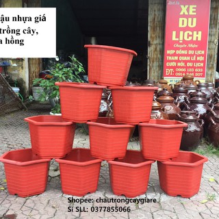 Chậu nhựa trồng cây, trồng hoa hồng loại 1 dày, đường kính 25~35cm, chau lục giác màu nâu đỏ hàng giá sỉ tận xưởng