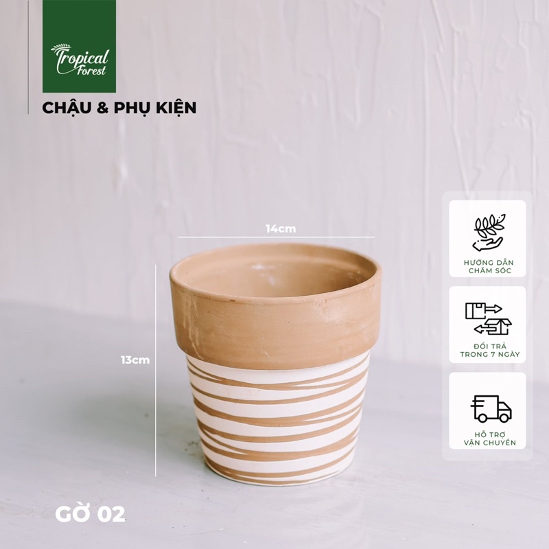 Chậu đất nung hoạ tiết TROPICAL FOREST