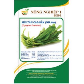 Hạt giống mùi tàu cao sản