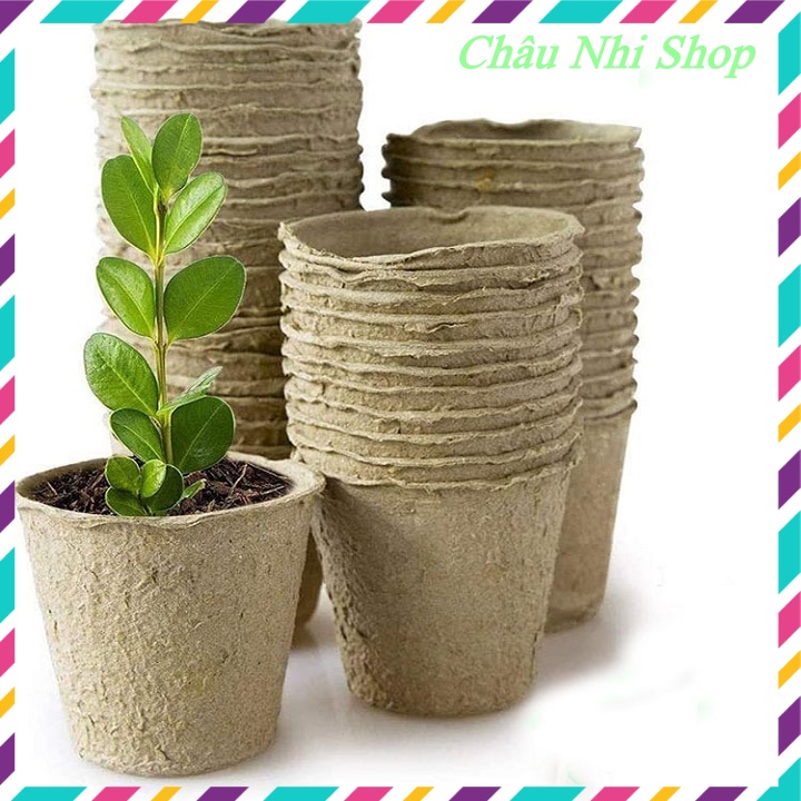 Chậu giấy ươm cây,cốc ươm cây, bầu ươm cây bằng giấy hữu cơ tự phân huỷ, set 20/30/50 cốc