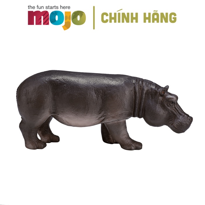 MÔ HÌNH ĐỘNG VẬT - HÀ MÃ