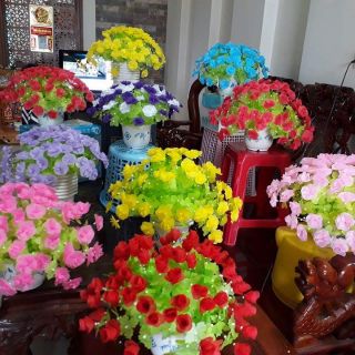 Combo 10 bộ hoa giấy lụa+10 chậu treo