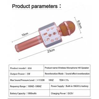 Micro hát karaok W858