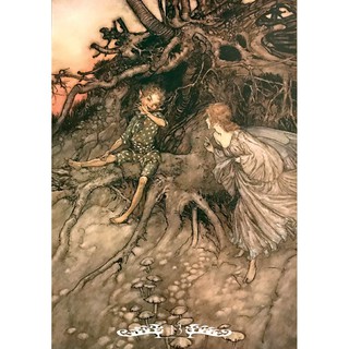 Bộ bài Fairy Oracle