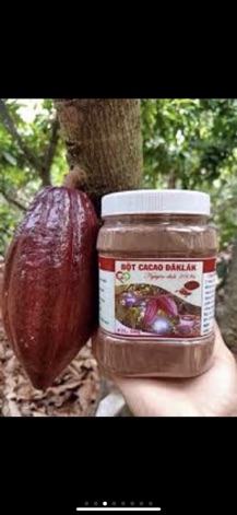 BỘT CACAO NGUYÊN CHẤT DAKLAK 500gr